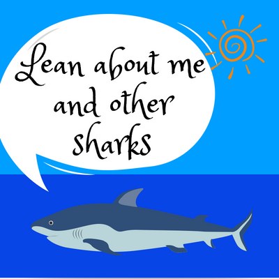 Shark Week (Summer Reading) Shark Week (Summer Reading)