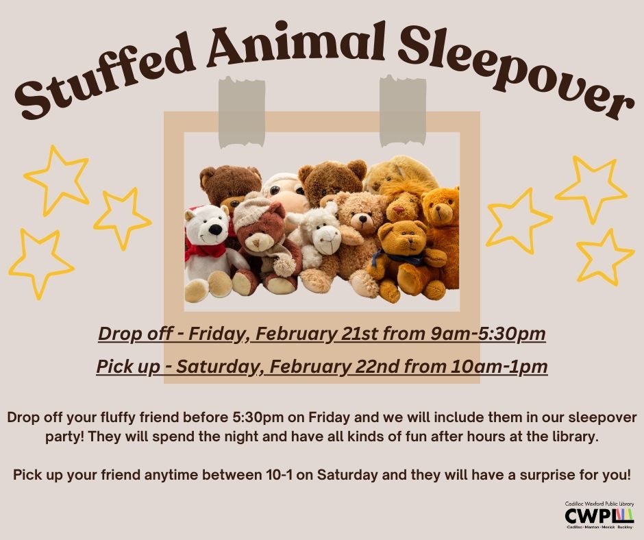 Stuffed Animal.jpg