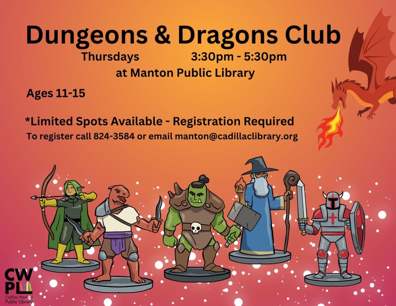 d and d flyer.jpg