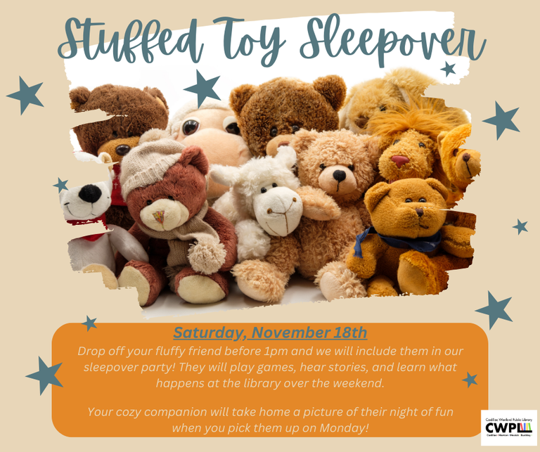 Stuffed Toy Sleepover.png