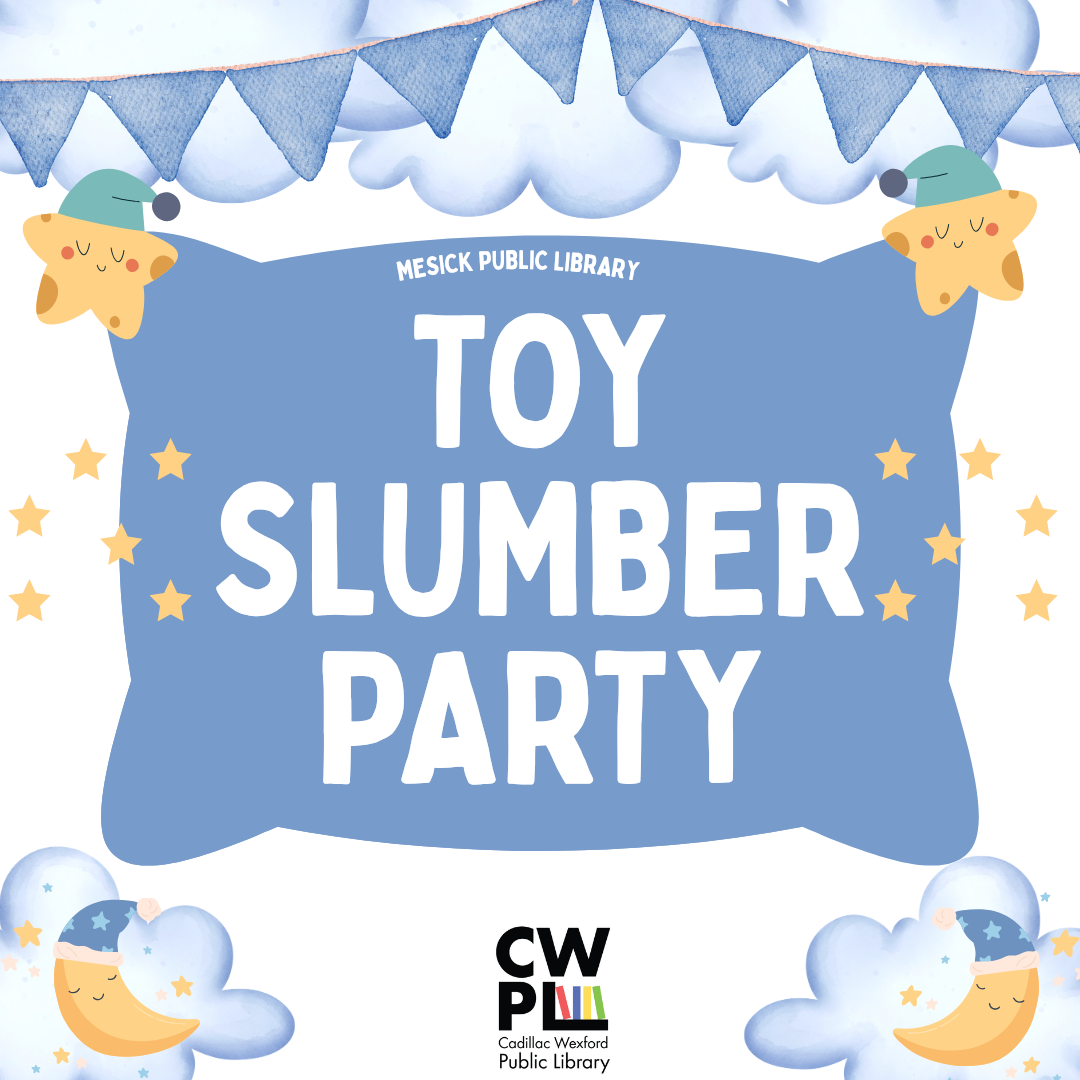 Website TOY SLUMBER PARTY.png