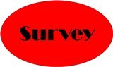 Survey Button